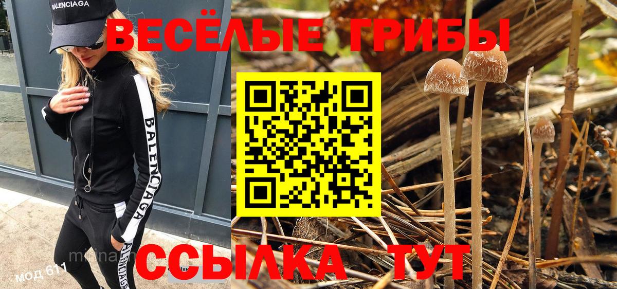 Галлюциногенные грибы MAGIC MUSHROOMS Краснознаменск